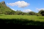 Mauricius