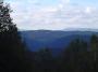 Prales