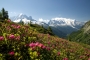 Tour du Mont Blanc