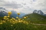 Tour du Mont Blanc 2