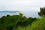 Marie Kakosová - SKIATHOS