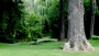 roland meneghel - ***