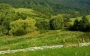 Levočské vrchy