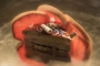 Pavla  Nečasová - Happy jak 3 grepy