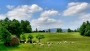 V BESKYDECH