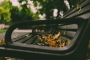 Resting leaves