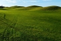 Golfové hřiště 3