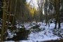 Stropnička (řeka od vodopádu)