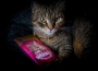 Martina Bachová - Whiskas
