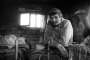 Imre