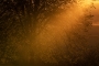 19:45