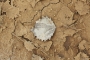 na beton