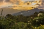 Matyáš  Řehák - Borneo