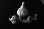 Lucie Kalivodova - Allium sativum