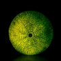 Melón II.