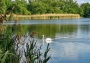 Labutí jezero 3
