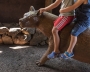 ZOO open 2020