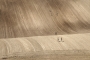 4+4