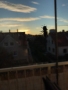 Včelí pohled