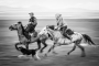 Horse game