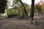 seřazeno