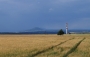 Zdvojený Říp
