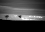 HORIZONT