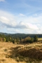 Šumava