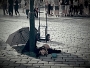 Siesta