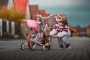 Život se zvířaty - Fotograf roku - Kreativita - VI.kolo - Vezmu si tě do košíčku