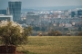 Pavel Míček - przewalski city