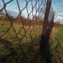 PRŮHLED