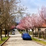 Jaro přichází