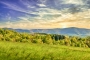 V BESKYDECH 