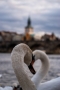 Kristýna  Koblížková - MOMENT