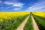 NA HORIZONT