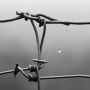 Simple composition 7