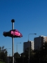 Fialové auto