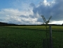 keřík