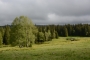 Modrava