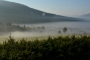 Jaroslava Jelínková - Podzimní Šumava