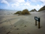 Nikola Sichyngrová - Ameland