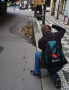 Turista