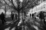 Walking