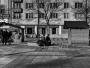 Svačina s holuby