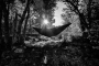 Martin Planka - Chill
