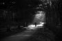 Just walking