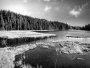 Arbersee