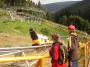 Adrenalin