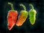 Papriky